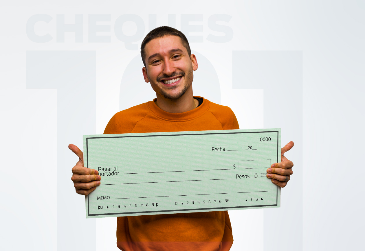 Cheques 101 Blog Gris